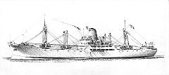 1955 - Aquileia